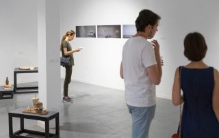 Domestic - Expoziție de fotografie și sculptură